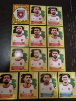 Panini Sticker JOR 13 Stk