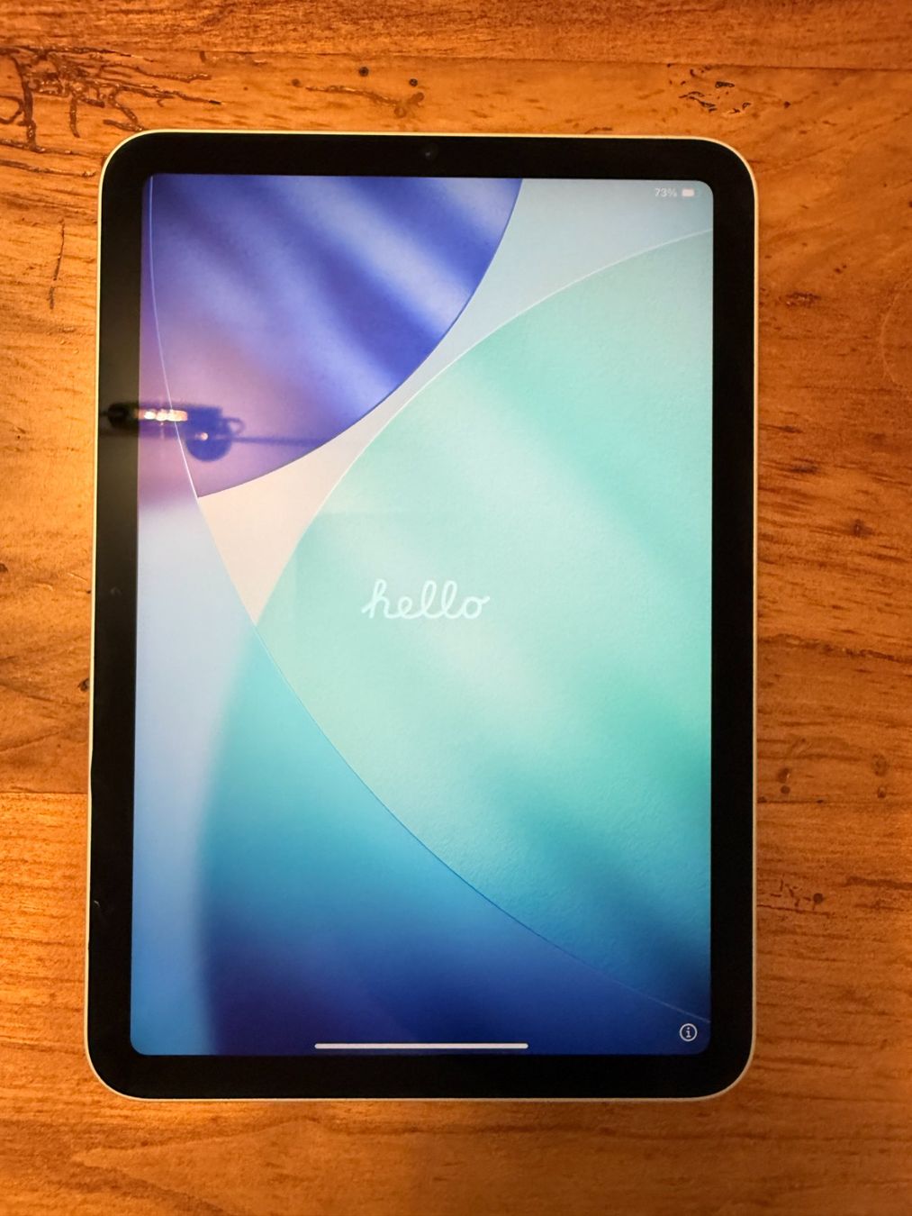 Apple Tablet PC: Apple iPad Mini 6 256GB Wifi – Gebraucht aus Zürich von Lambert1709 1