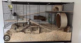 Hamstergehege mit Zubehör