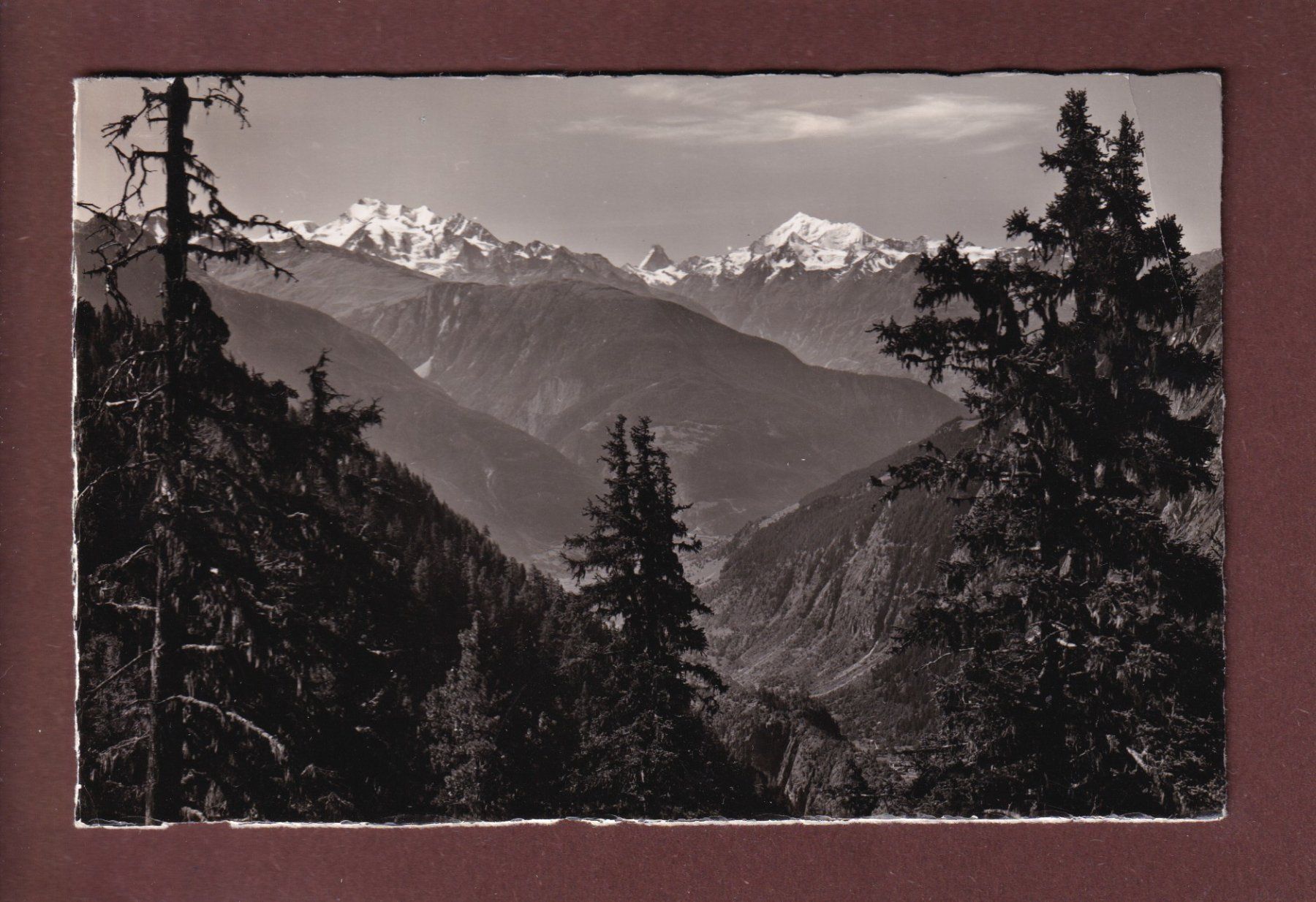 Ansichtskarten: RIEDERALP - Blick vom Casselweg // Eckbug // – Gebraucht aus Pully von nicecards