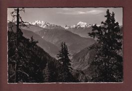 RIEDERALP - Blick vom Casselweg // Eckbug //