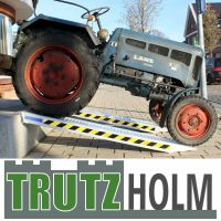 TrutzHolm 2x Auffahrrampe ca. 212 cm