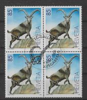 2006 Nr. 1196 Steinbock ET