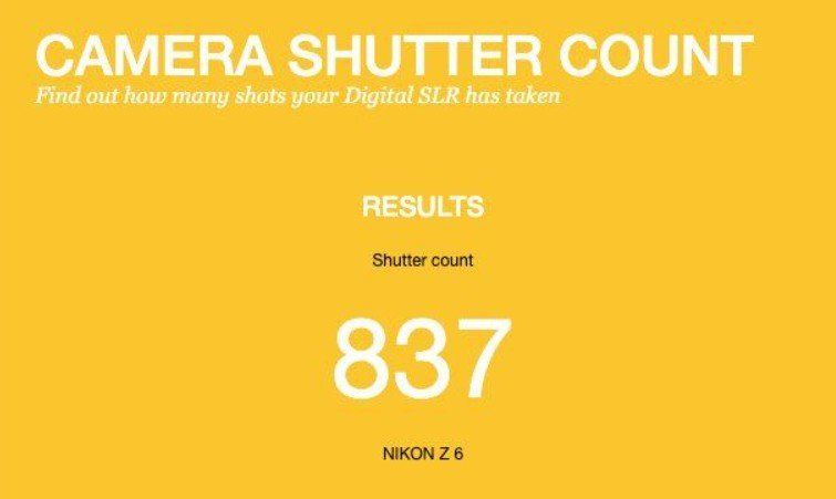 Nikon Fotocamera: Nikon Z6+ 800 CLICKS – Nuovo (secondo la descrizione) da Schlieren venduto da Sunshine_0109