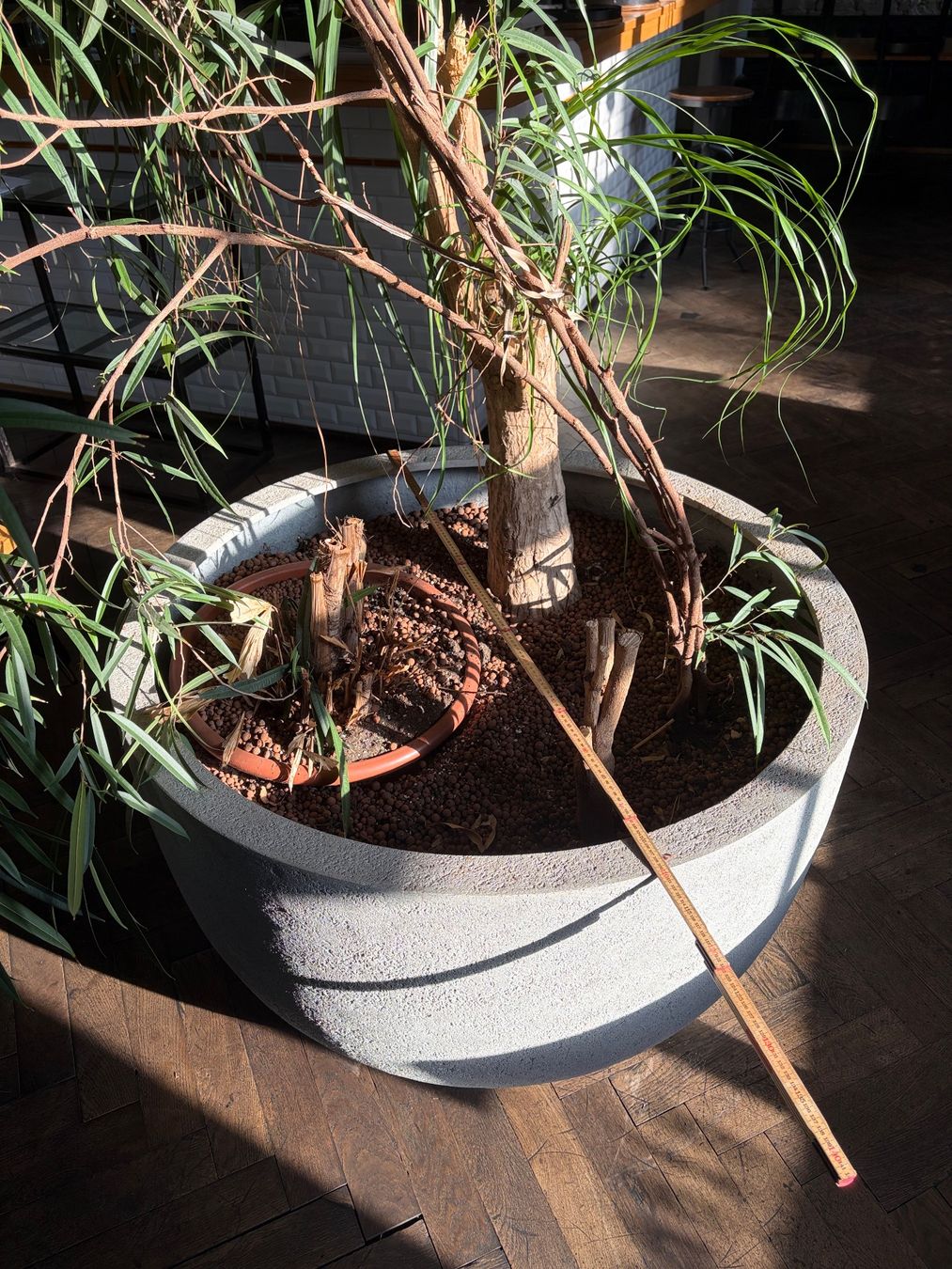 Pots de fleurs: Pflanzenkübel 4 Stk. – D'occasion à Zürich par gis_dpj9