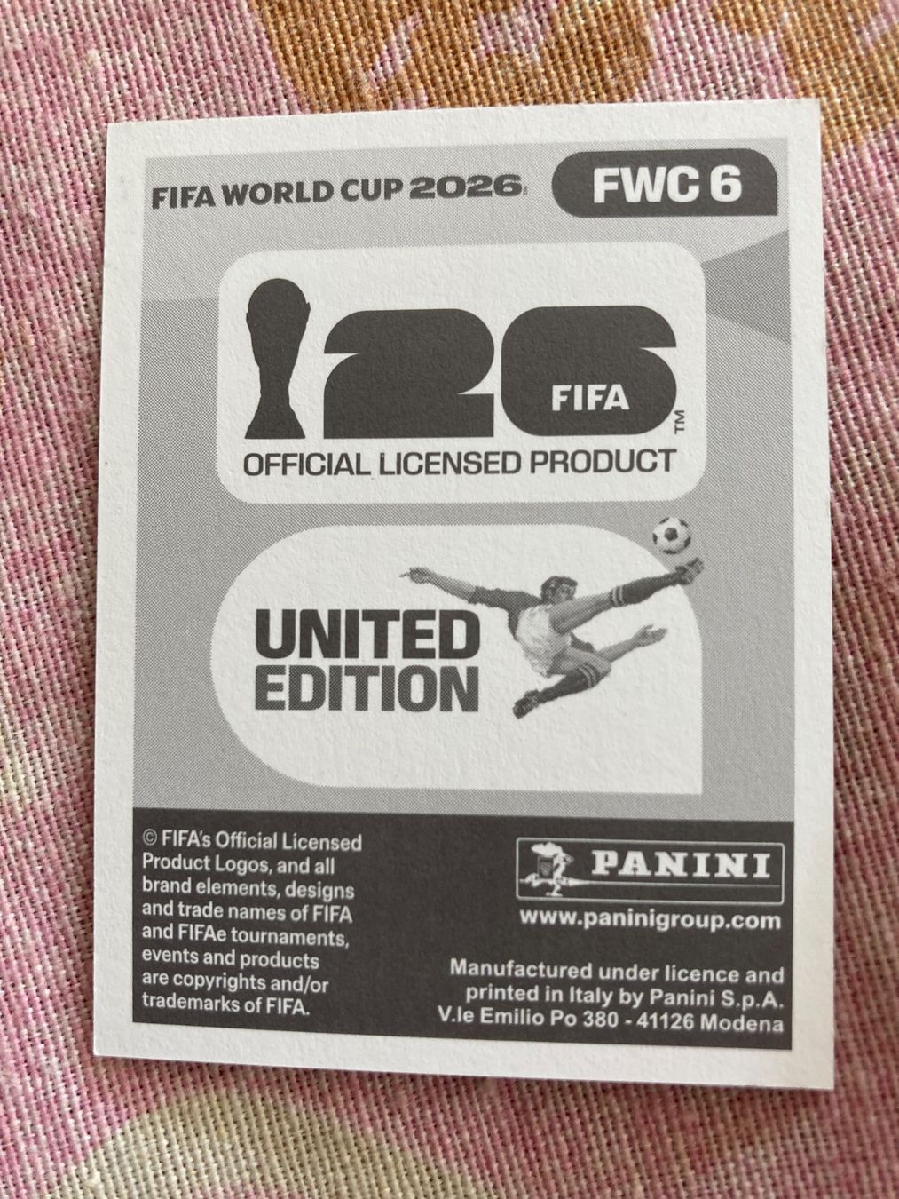 Panini Carte collezionabili: WM Sticker FWC 6 – Nuovo (secondo la descrizione) da Winterthur venduto da Whitefish 1