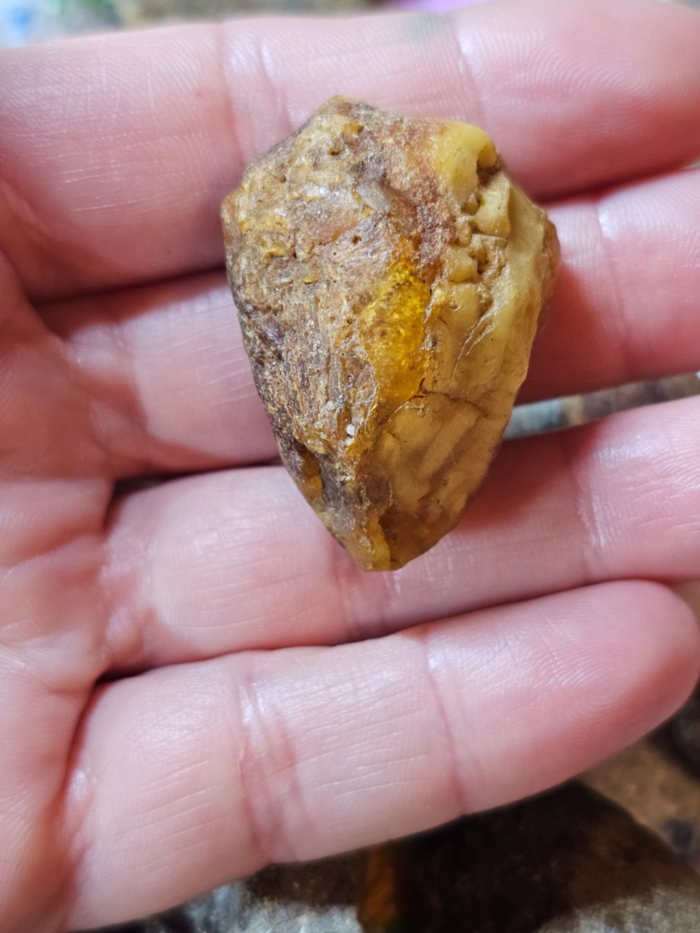 Minerali & Pietre curative: 9,7 gr Rohbernstein echt Roh Bernstein baltisch butterscotch – Nuovo (secondo la descrizione) da Riedt b. Erlen venduto da Gottestraene 7