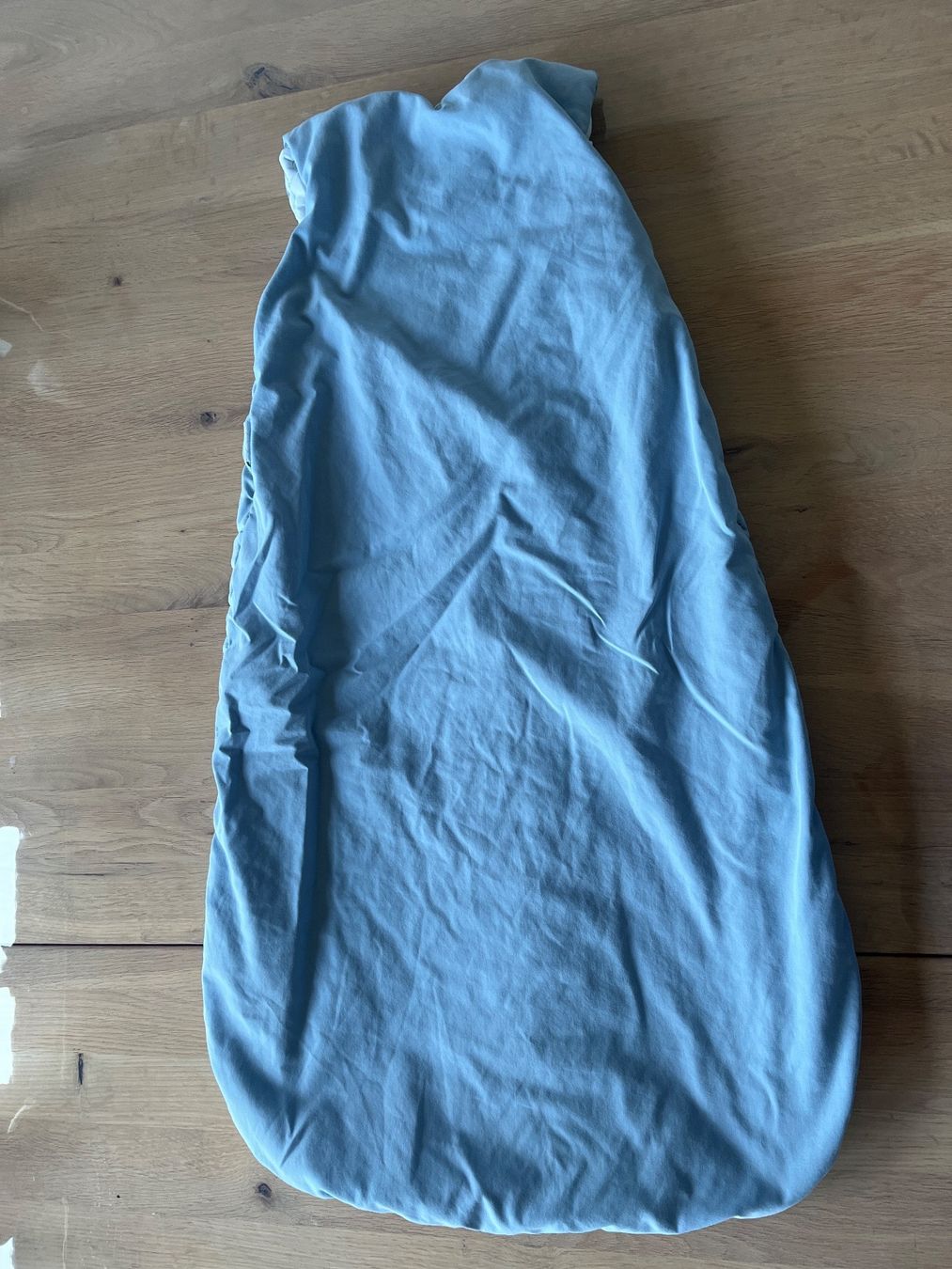 Sacchi a pelo: Odenwälder Schlafsack Prima Klima Thinsulate 90cm – Usato da Würenlos venduto da angiie 1