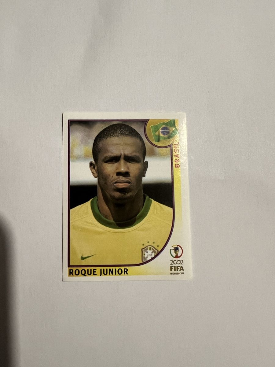 Panini Carte collezionabili: Panini WM02 Bild – Usato da Willisau venduto da Neiro77