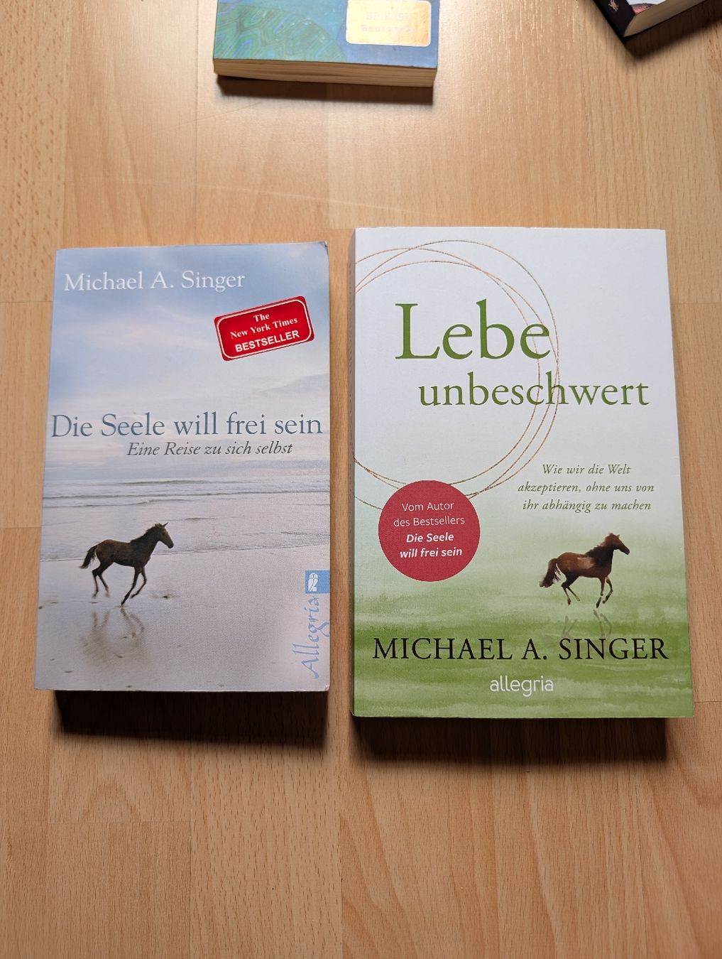 Bücher: Bücher von Michael A. Singer  – Neu (gemäss Beschreibung) aus Baden von lea_rxq9