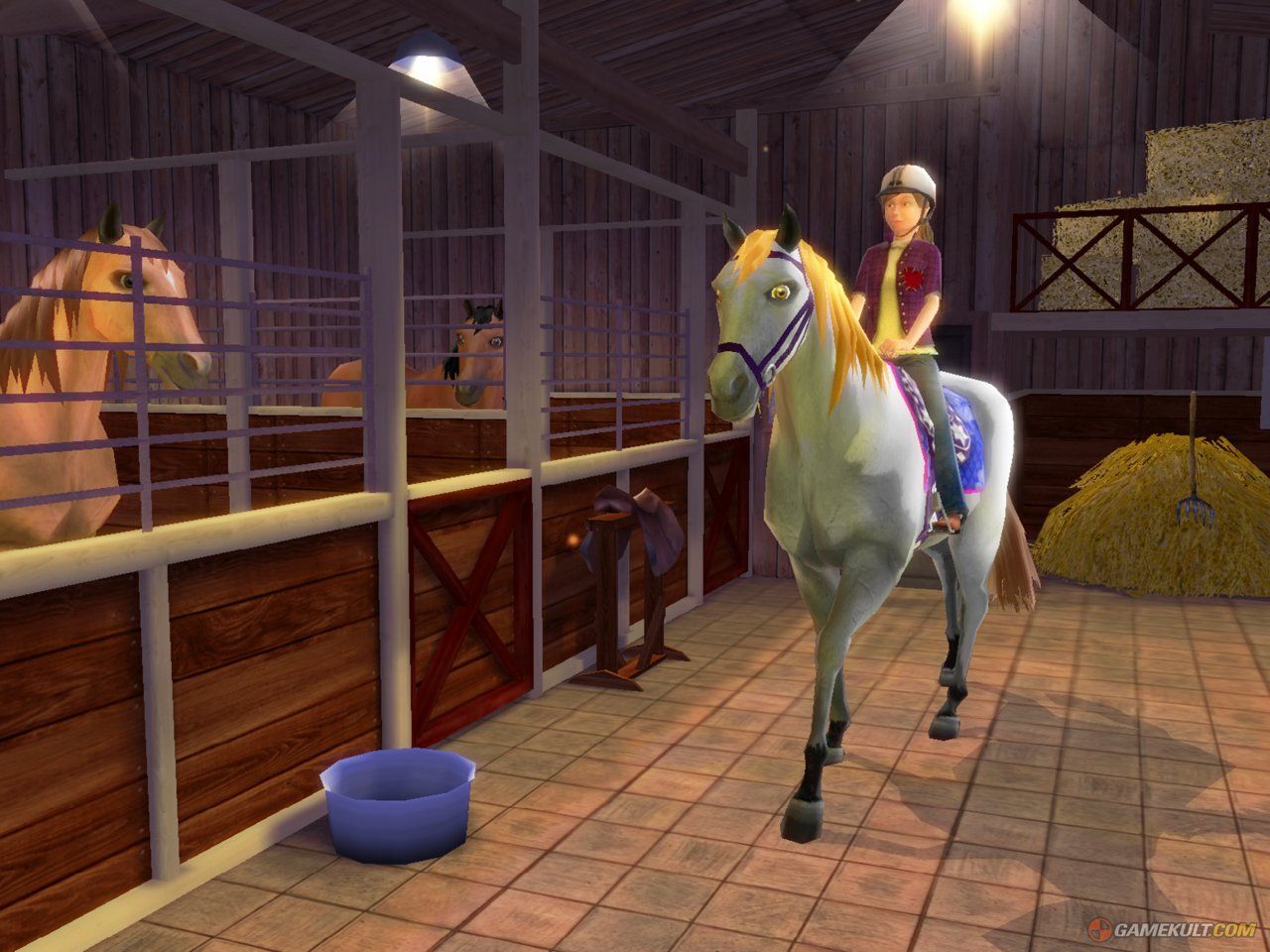 Nintendo Giochi: DS Grand Galop  / en français – Usato da Schüpfheim venduto da Game-Paradis 8