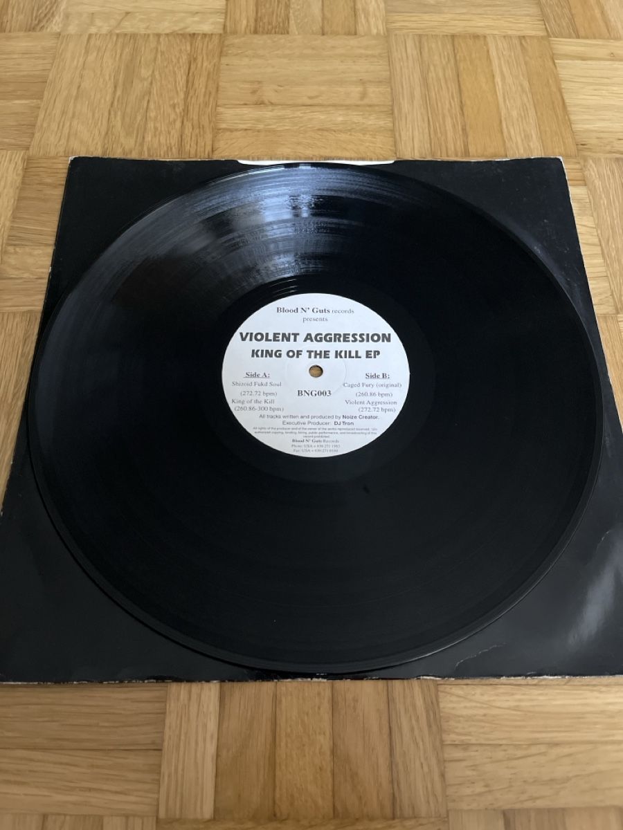 Dischi in vinile: Violent Aggression Hardcore / Speedcore Vinyl – Usato da Wangen b. Olten venduto da break72 2
