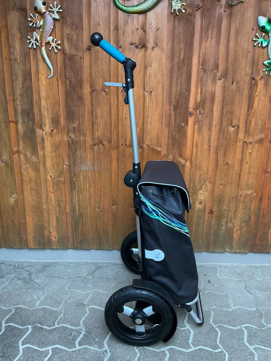 Biciclette: Fleyer  E -Bike neuwertig  – Usato da Oberbuchsiten venduto da Tesin3 2