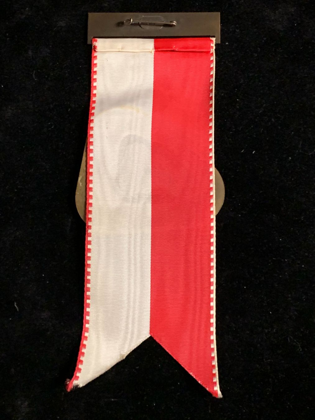 Plaquettes & Badges: Fasnachtskomitee LIESTAL Zug 1976 – D'occasion à Therwil par Zelle13 1