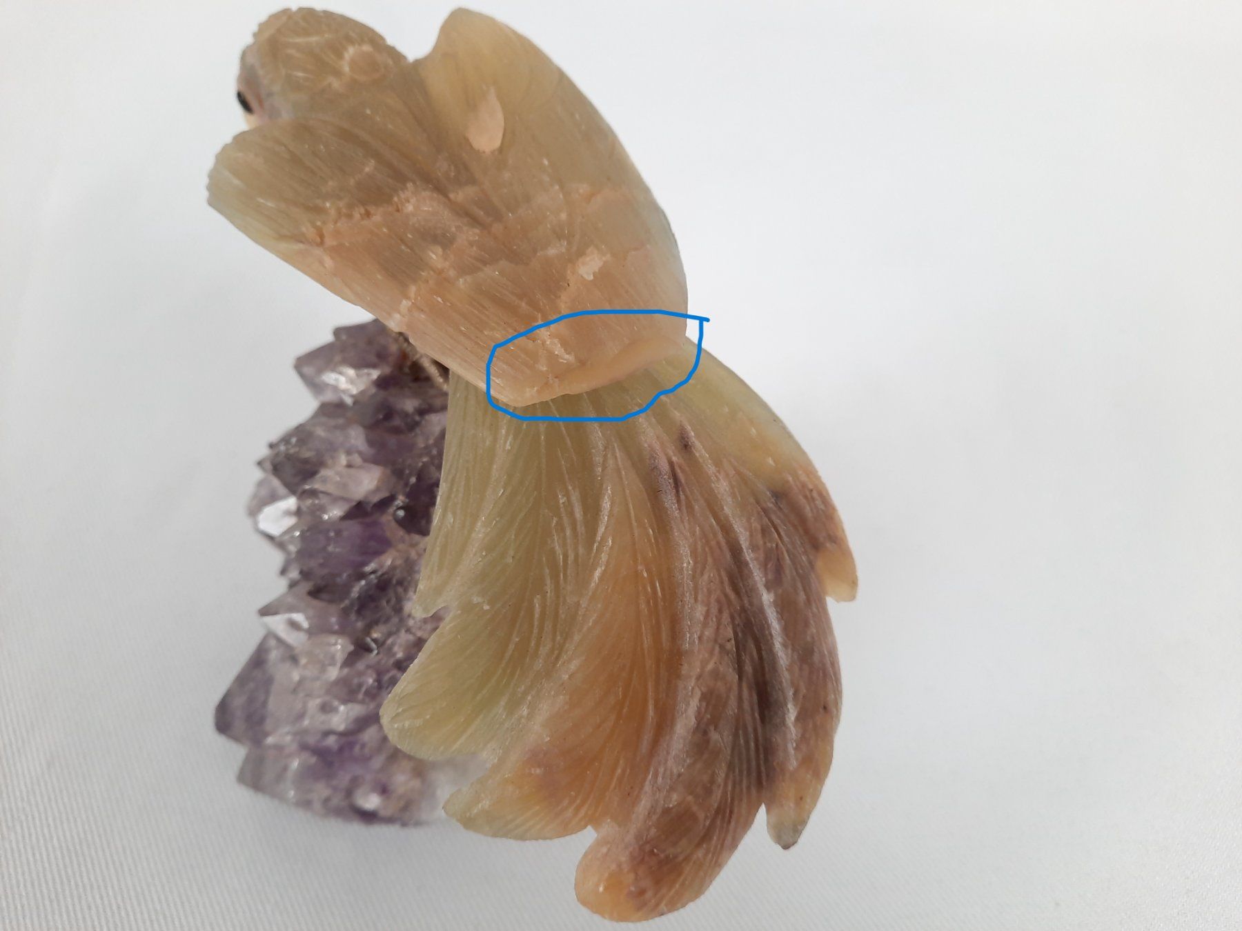 Minerali & Pietre curative: Steinvogel auf Amethyst – Usato da Beinwil am See venduto da Restwert_Beinwil 6