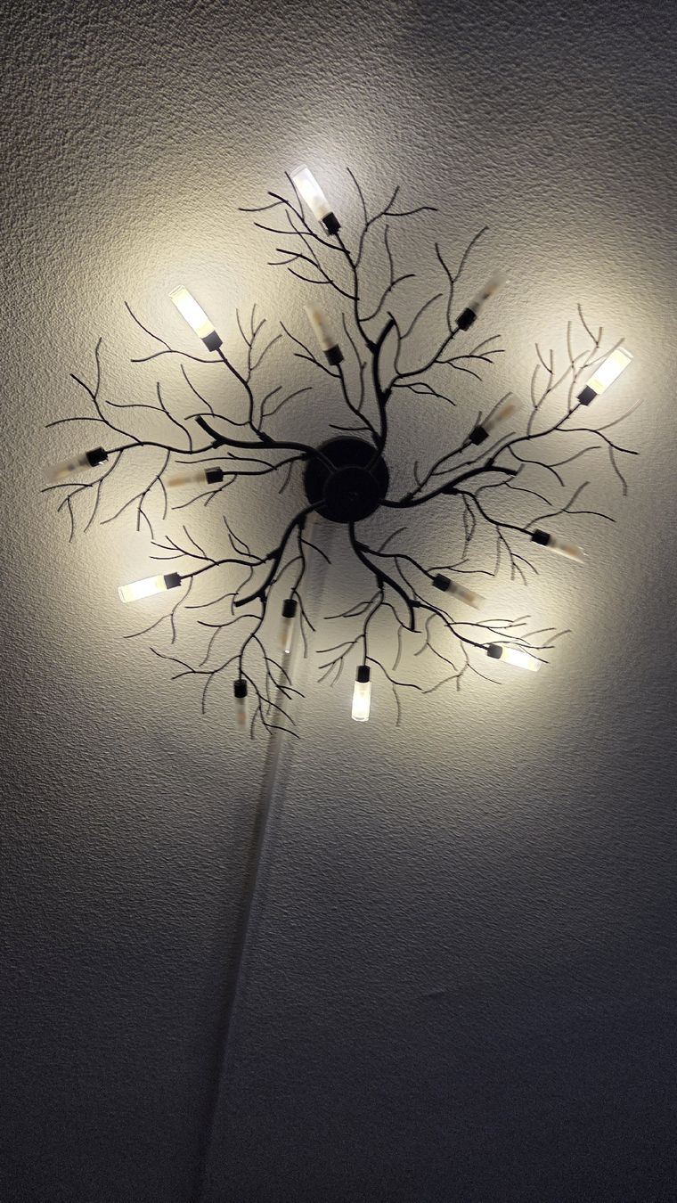 Lampadari & plafoniere: Lindby Deckenlampe Äste – Usato da Gerlafingen venduto da JM82
