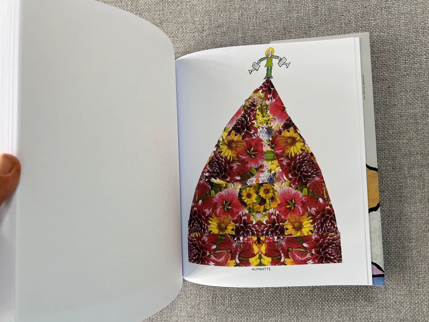 Libri: Buch Berge von Ted Scapa Kunstbuch – Usato da Ennetbaden venduto da mapa05 3