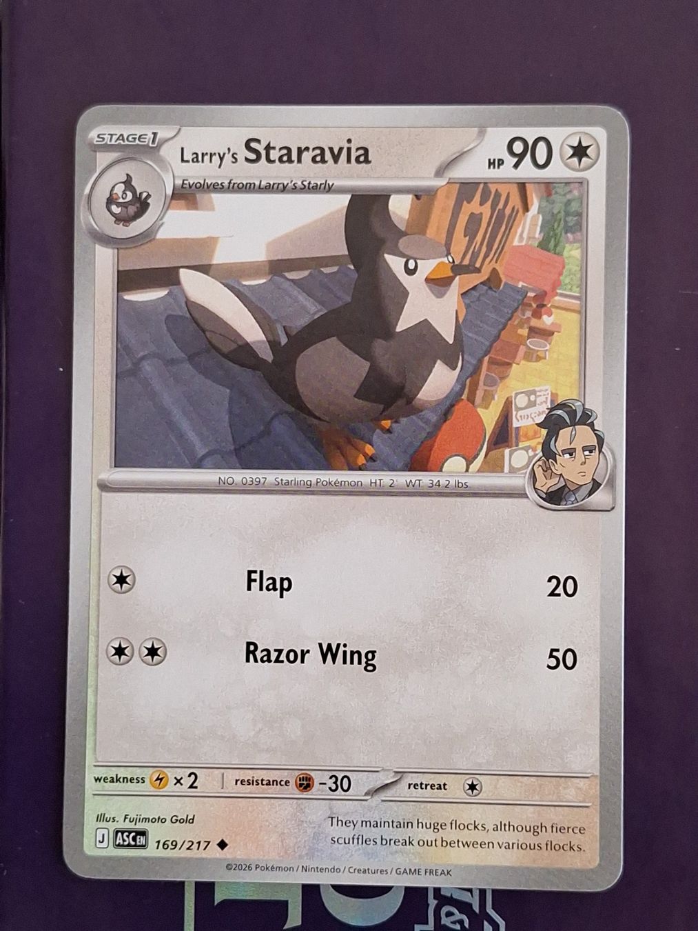 Pokémon Carte collezionabili: Larry's Staravia - Pokemon Ascended Heroes – Usato da Altstätten SG venduto da GGsGameshop