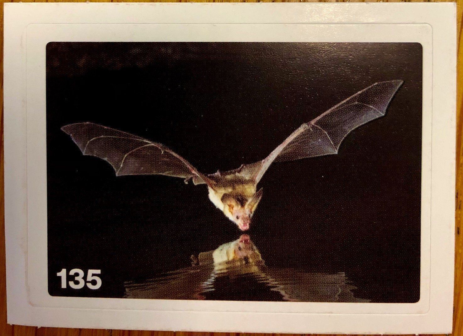 Migros Carte collezionabili: Migros Nature Detectives - Bild Nr. 135 – Nuovo (secondo la descrizione) da Oberrieden venduto da Zimmerberg10