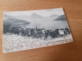 VITZNAU - 1903 - BUOCHSER- und STANSER HORN