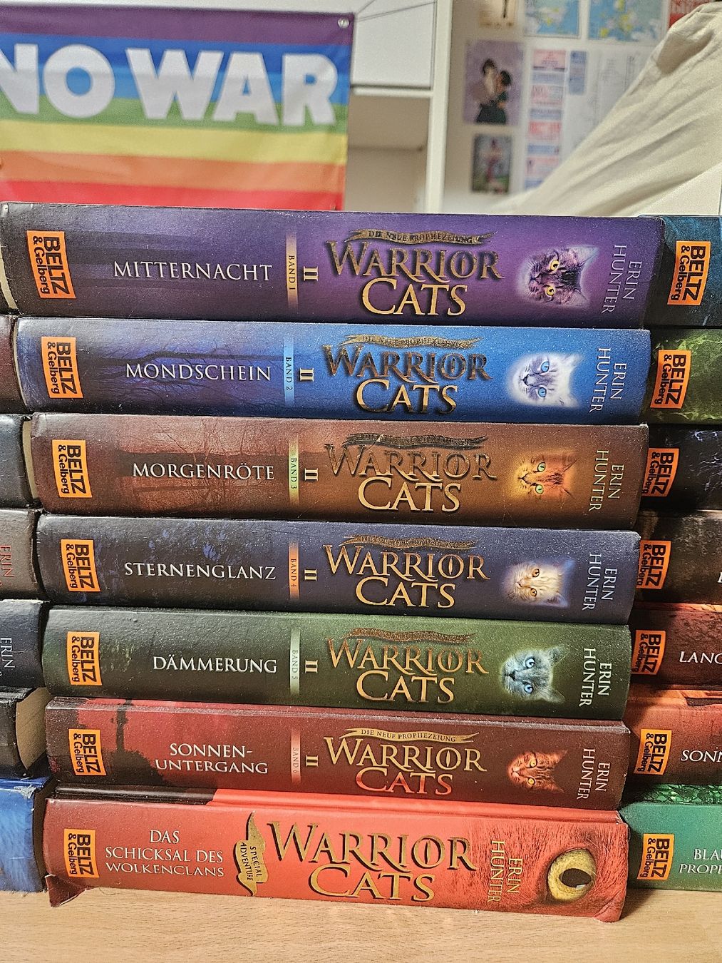 Livres: Warrior Cats Bücher + Comics + Seekers Erin Hunter – D'occasion à Laufenburg par tinayv 2