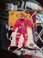 Matthew Kellenberger Rapperswil Jona Lakers Sportzoo 25/26