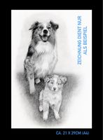 NEU/RAR: Hunde Zeichenauftrag A5 gross /Haustiere/Kunst