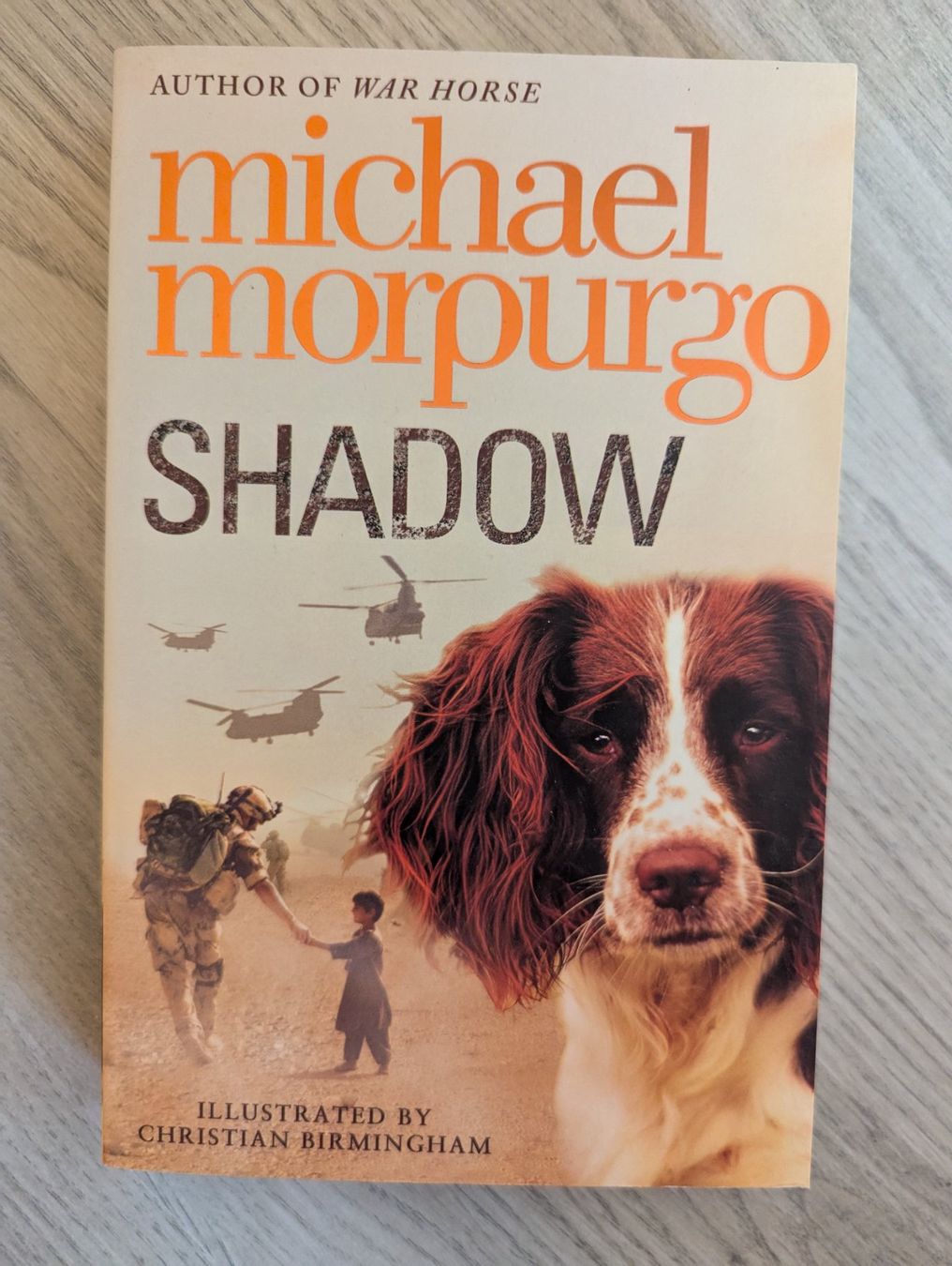 Bücher: Michael Morpurgo "Shadow" Jugendbuch Englisch – Gebraucht aus Goldingen von YouAreMySunshine