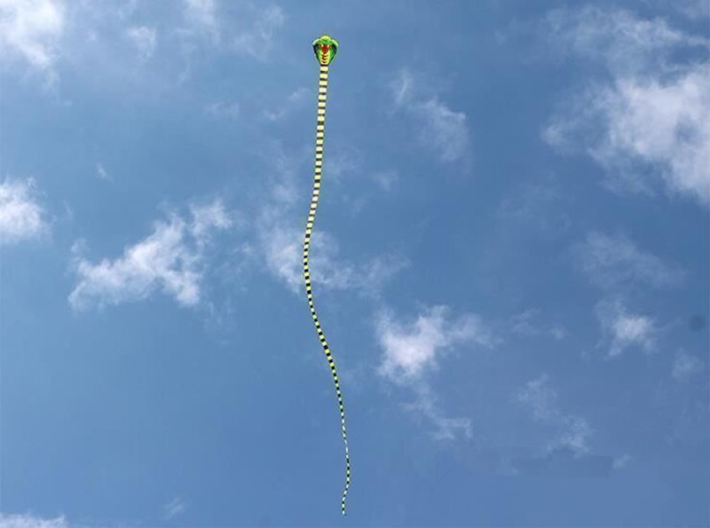Spielzeuge: Grand cerf-volant serpent cobra – Neu und originalverpackt aus Gurmels von shopathome 2
