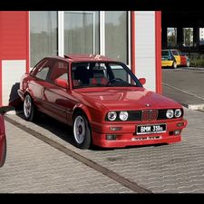 Profile image of Nando_Steiner12