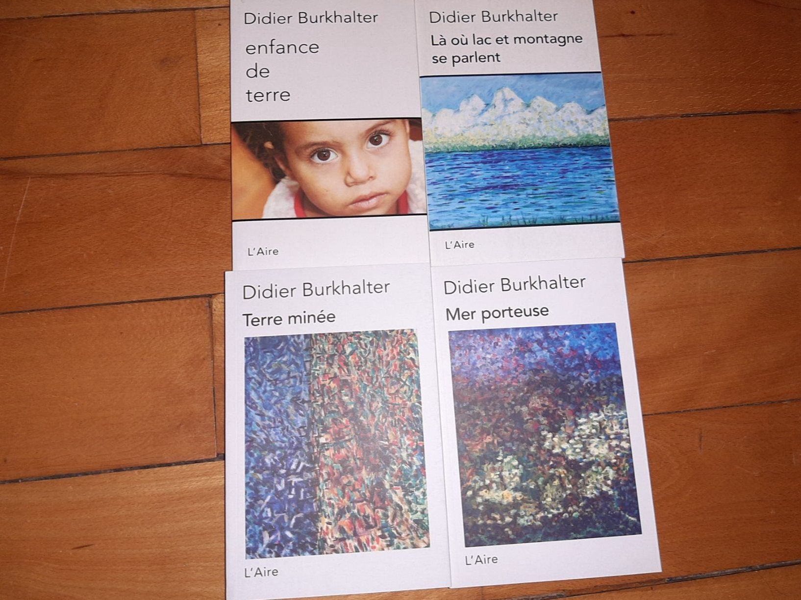 Libri: 4 Livres Didier Burkhalter – Usato da Neuchâtel venduto da Budy.jul-5 4