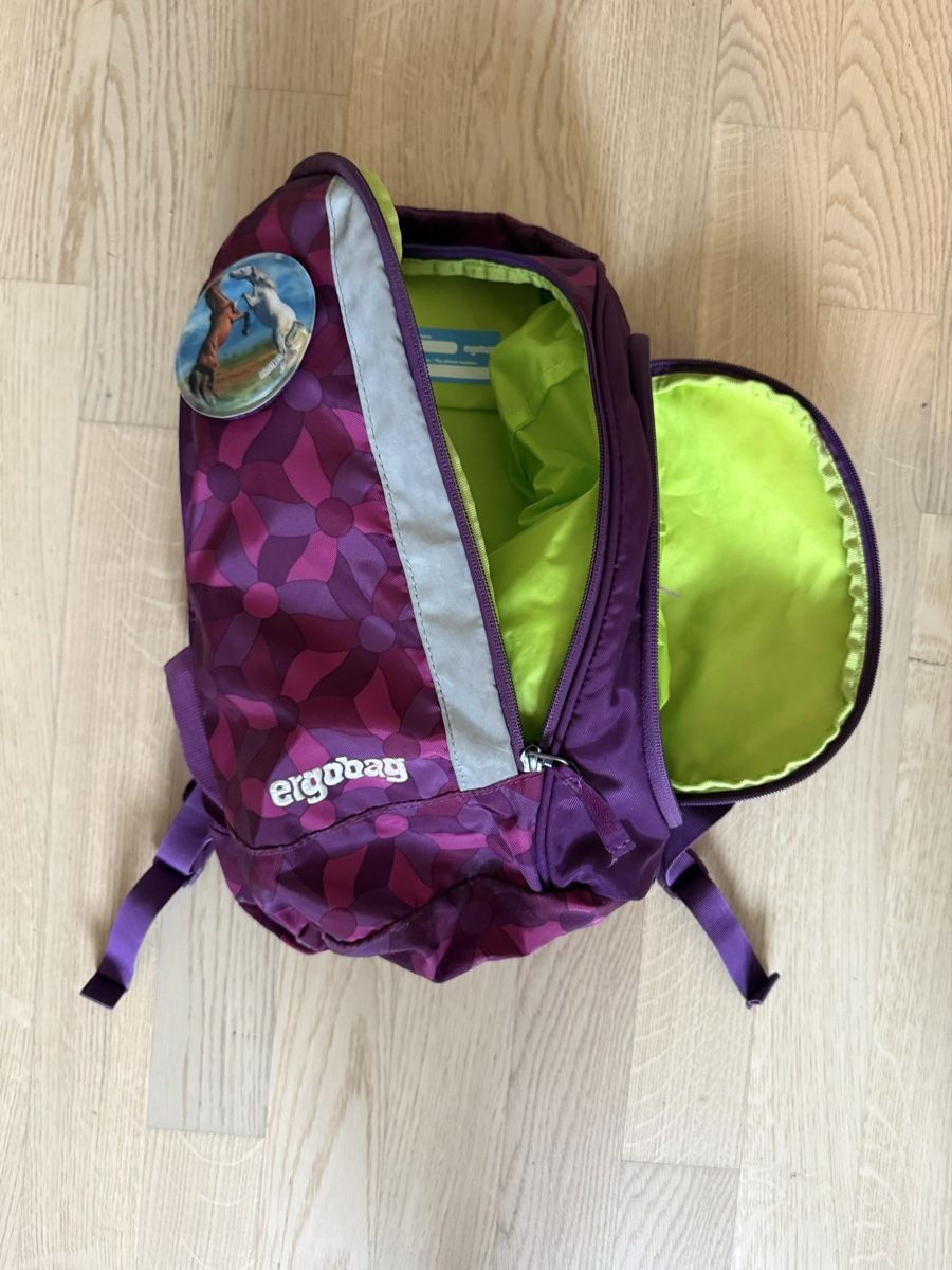 Ergobag Borse & Zaini: Ergobag Schulranzen-Set (Rucksack & Turnbeutel) – Usato da Hüttikon venduto da Mellie422 5