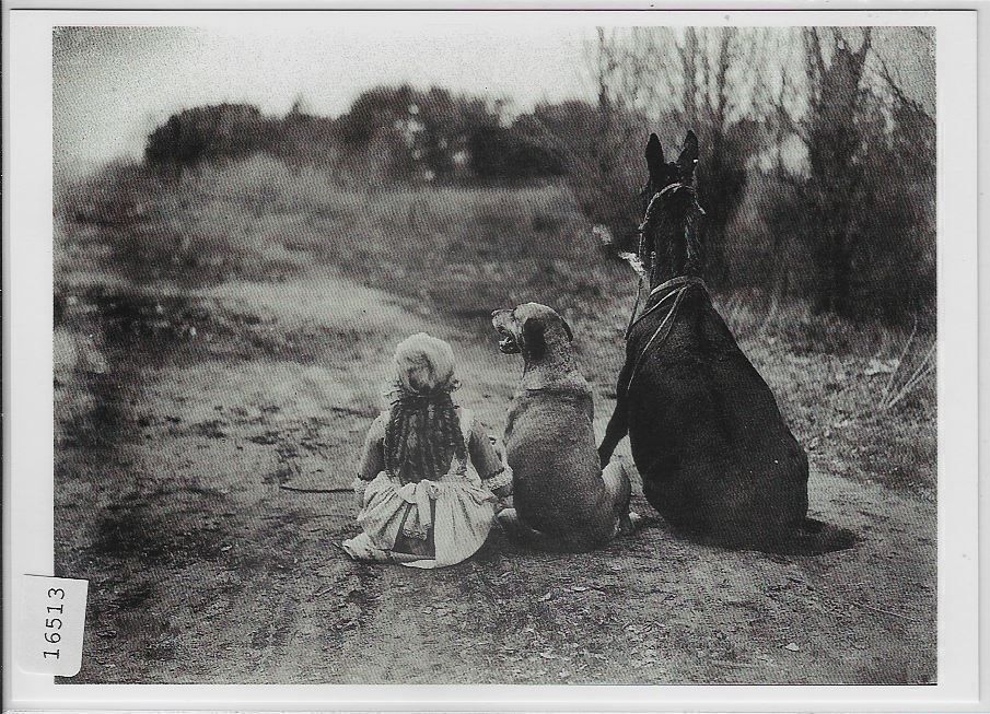 Cartoline postali: Through The Back Door - J. Pickford – Usato da Ettingen venduto da Kartenplanet