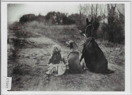 Through The Back Door - J. Pickford