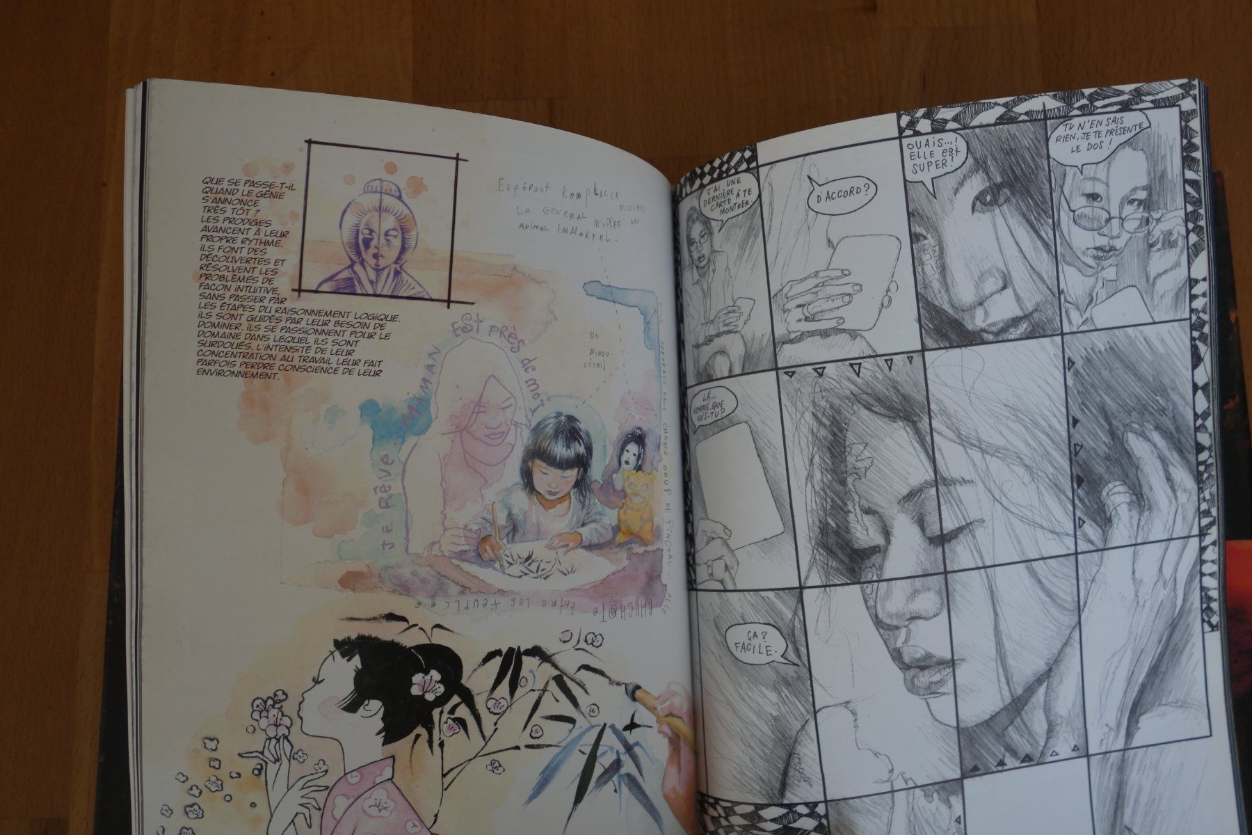 Fumetti: Kabuki - Métamorphose  - David Mack – Usato da Romainmôtier venduto da Iguazu12 5
