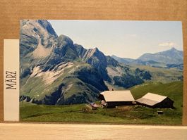 AK von Alp Stierendungel in Lauenen