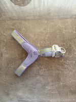 Harnais pour chien TAGOON violet neuf taille S