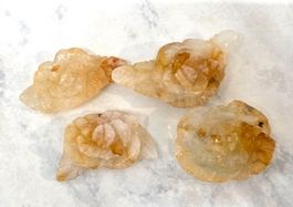 4 Golden Healer Rosen 155g