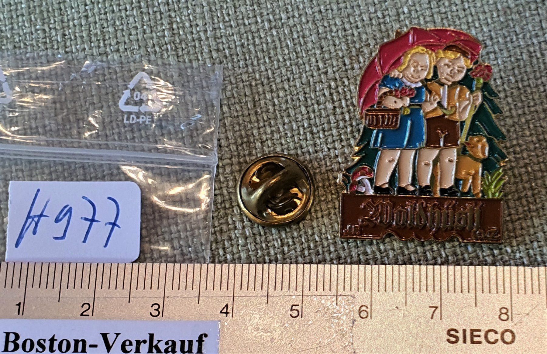 Placchette & Badge: H977 - Pin Mädchen & Knabe Waldhüsli VVZ – Usato da Reinach BL venduto da Boston-Verkauf 1
