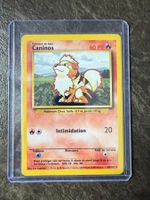 Carte Pokémon - Caninos - BS 28 - FR