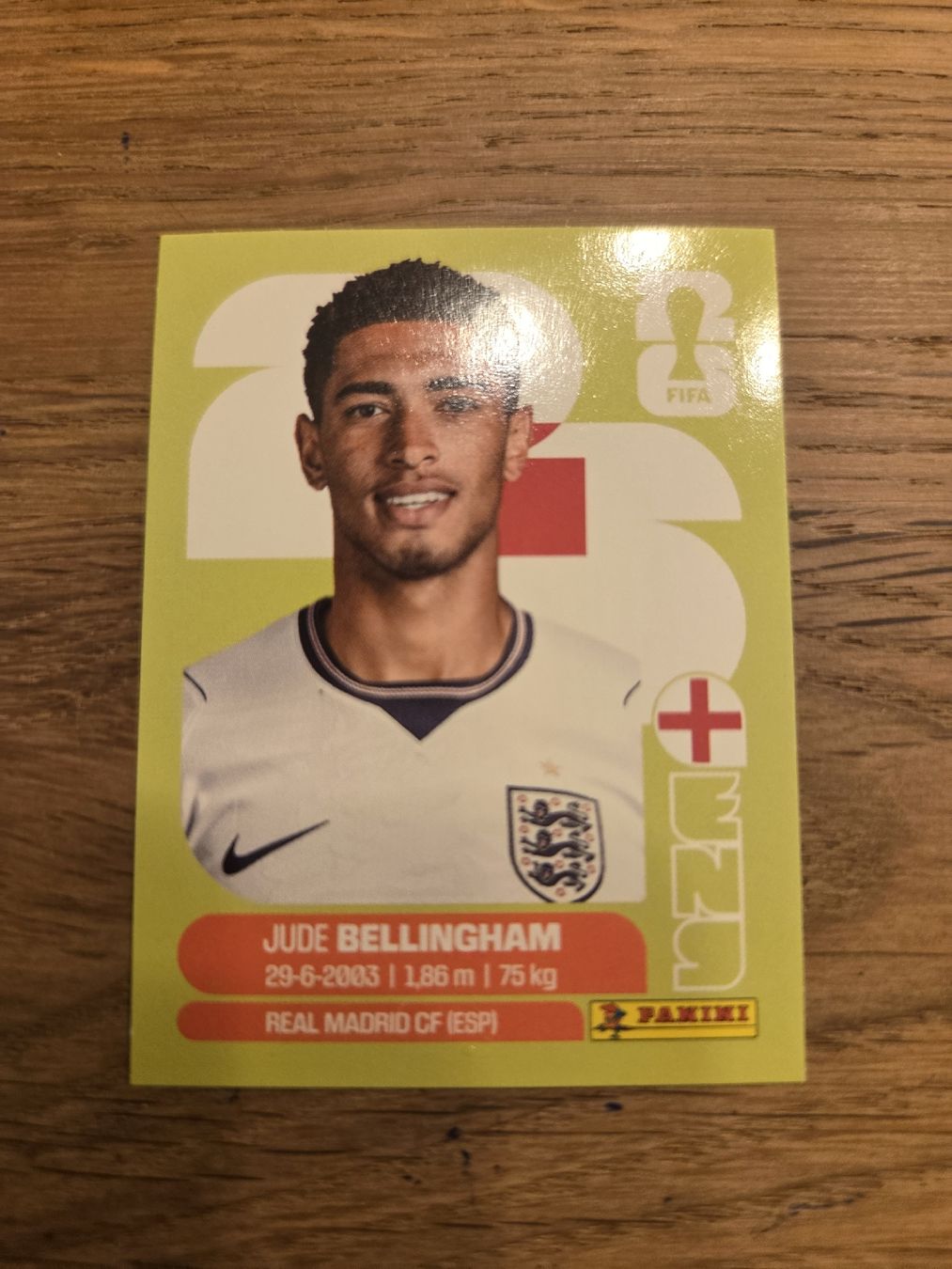 Panini Carte collezionabili: Panini Sticker 2026 ENG 11 – Nuovo (secondo la descrizione) da Luzern venduto da .Skylake.