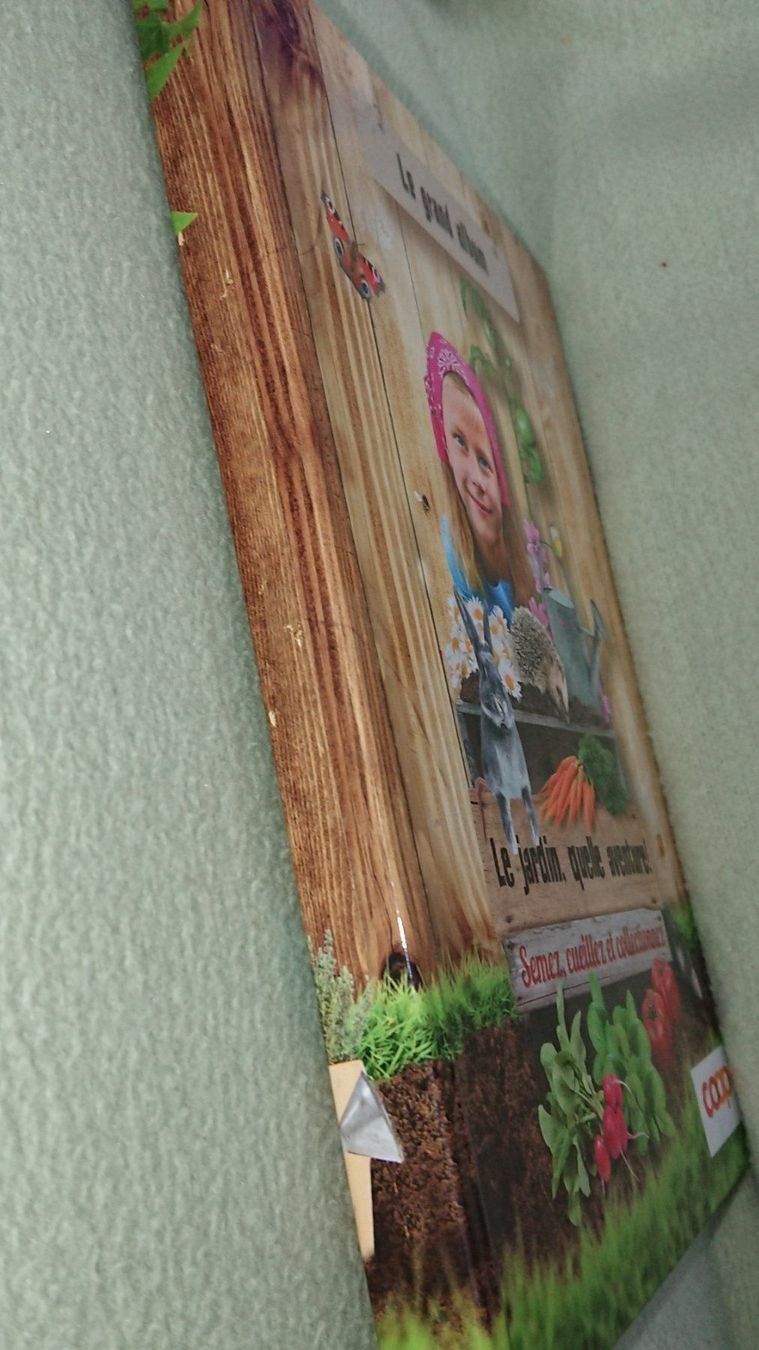 Libri: Le Jardin Quelle Aventure – Usato da Cortaillod venduto da signep 7