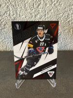 27/30 - Christoph Bertschy - HC Fribourg Gottéron 
