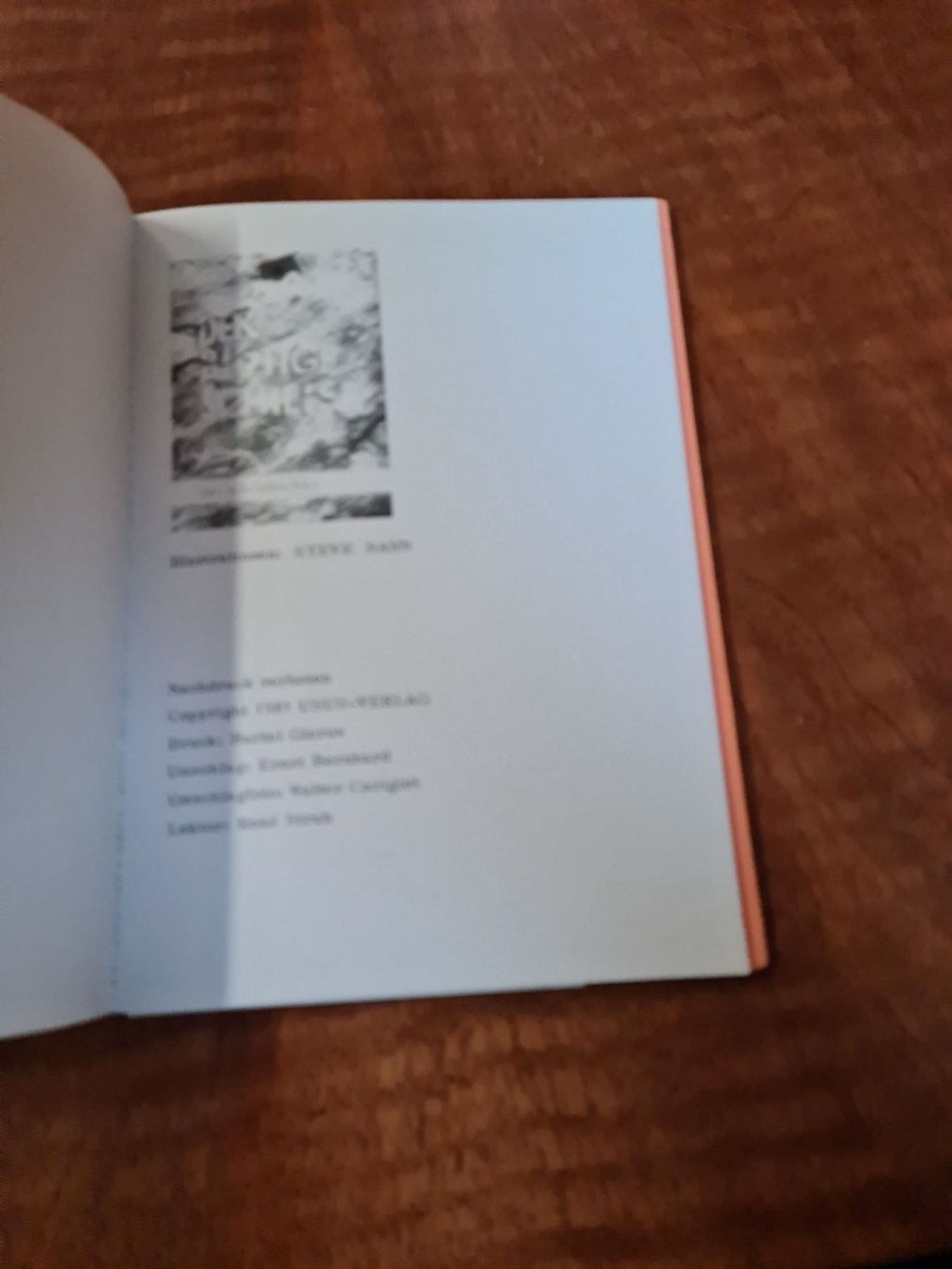 Libri: Der blutige Schiefer – Usato da Erstfeld venduto da Mario_boe0 2