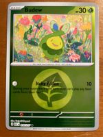 Pokemon Budew Reverse (Versand gratis)