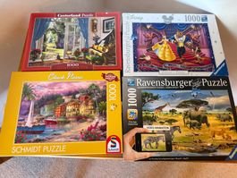 4 * Jigsaw puzzles