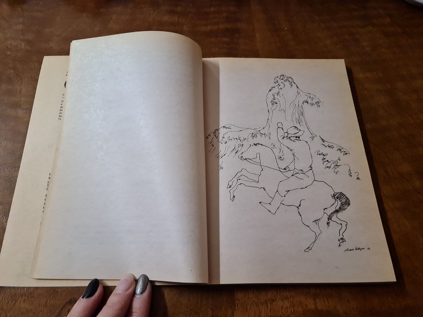 Libri: CURI QUINTI - El Colibri de Oro – Usato da Erstfeld venduto da Uhu1980 2