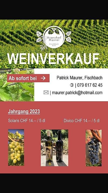Vins: Wein aus dem Luzerner Hinterland – D'occasion à Fischbach par Maurer97 1