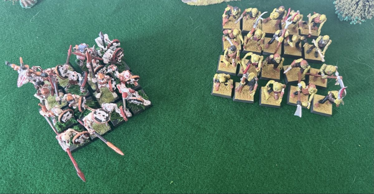 Modellbausätze & Standmodelle: Warhammer Armata di Non Morti e Zombi – Neu (gemäss Beschreibung) aus S. Pietro von nap_9xjt 6