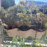 Bienenwaide - Thymian und Oregano mit Behälter